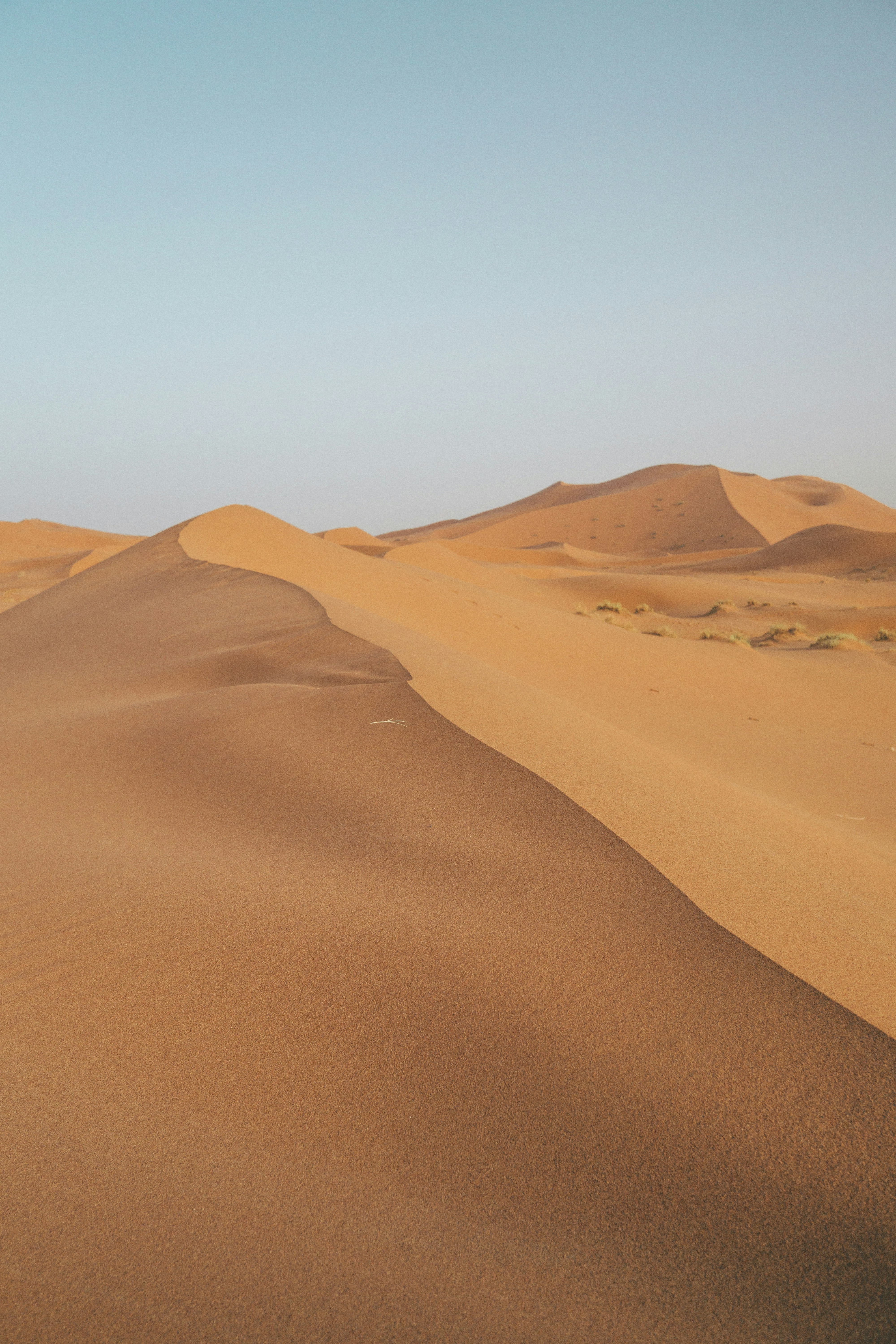 desert sand during daytime